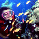 A diver on the Great Barrier Reef.